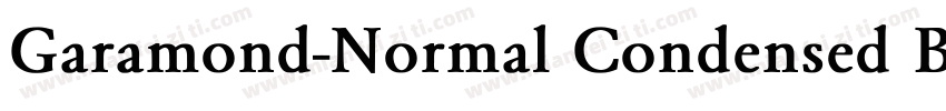 Garamond-Normal Condensed Bold Italic字体转换